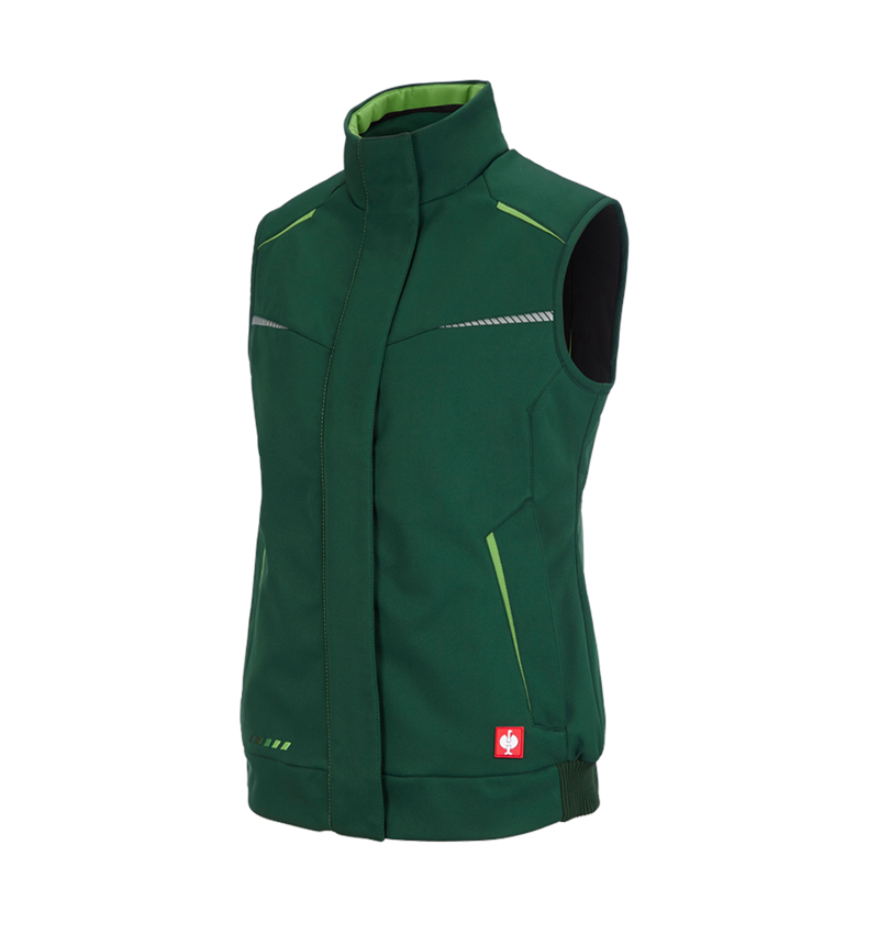 Winter Softshellweste e.s.motion 2020, Damen