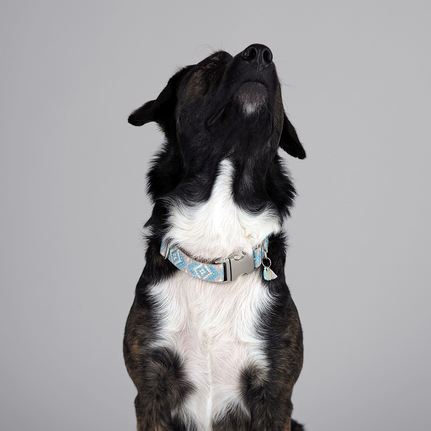 THE DOG IDEA Hundehalsbänder THE DOG IDEA Boho-Chic Halsband Sky S