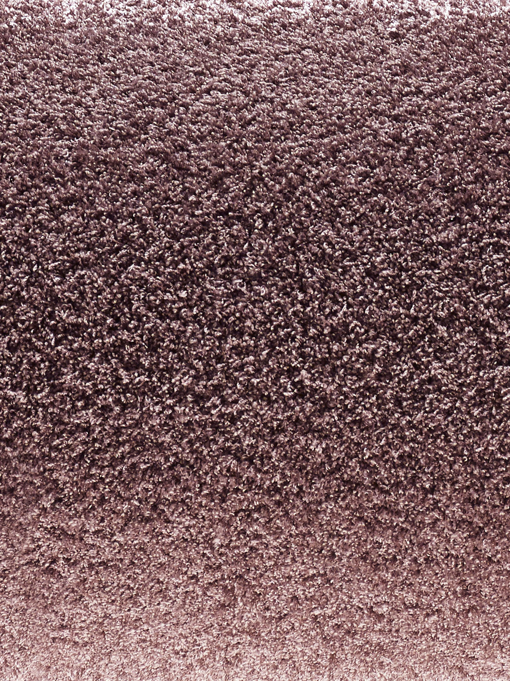 Tenderness Hochflor-Teppich, Beere
