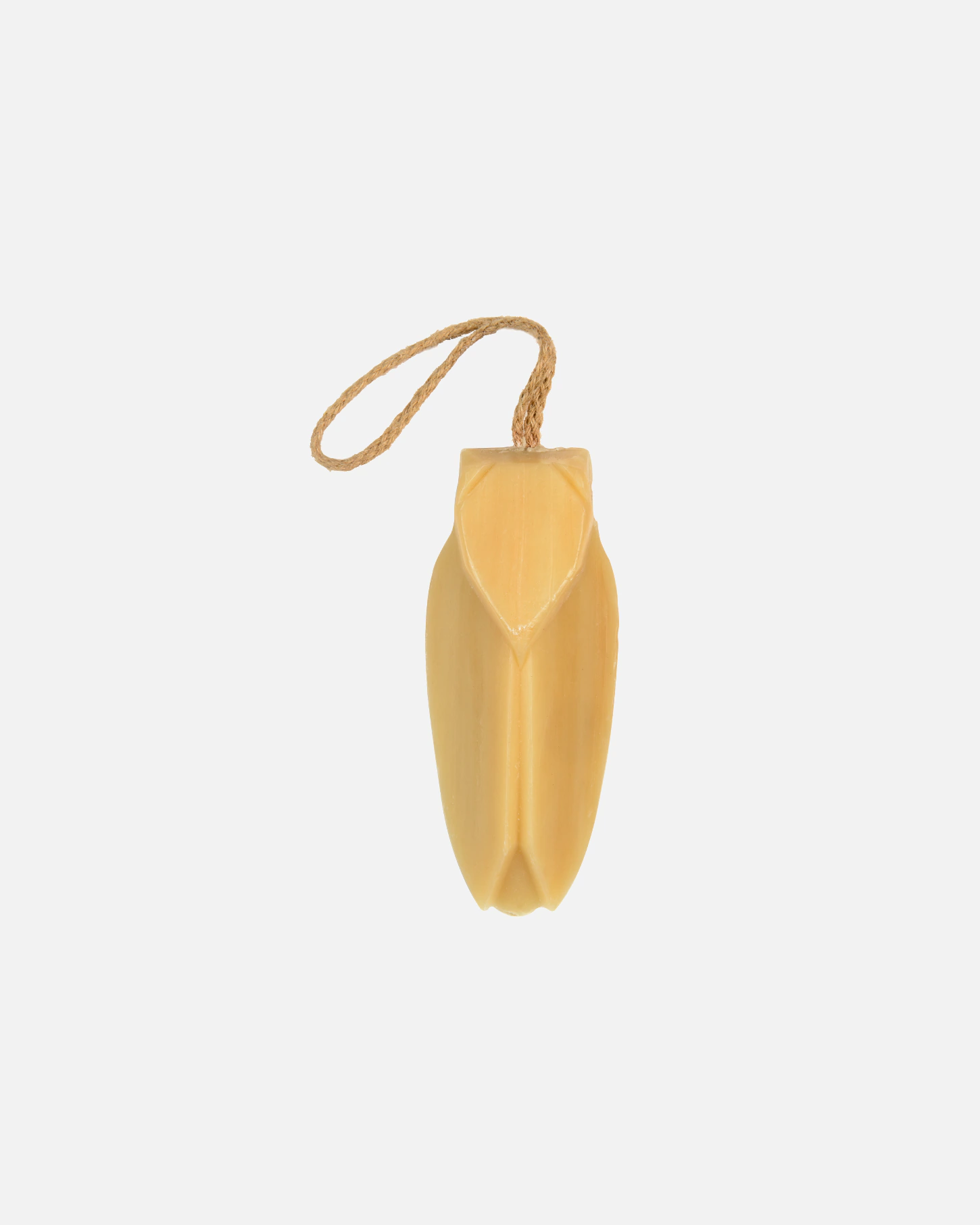 Potcoavă monocromă cu cicada vegetală și frânghie de agățat