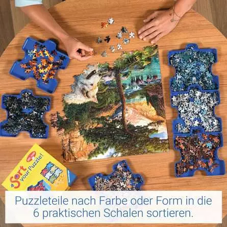 Puzzle Sort & Go