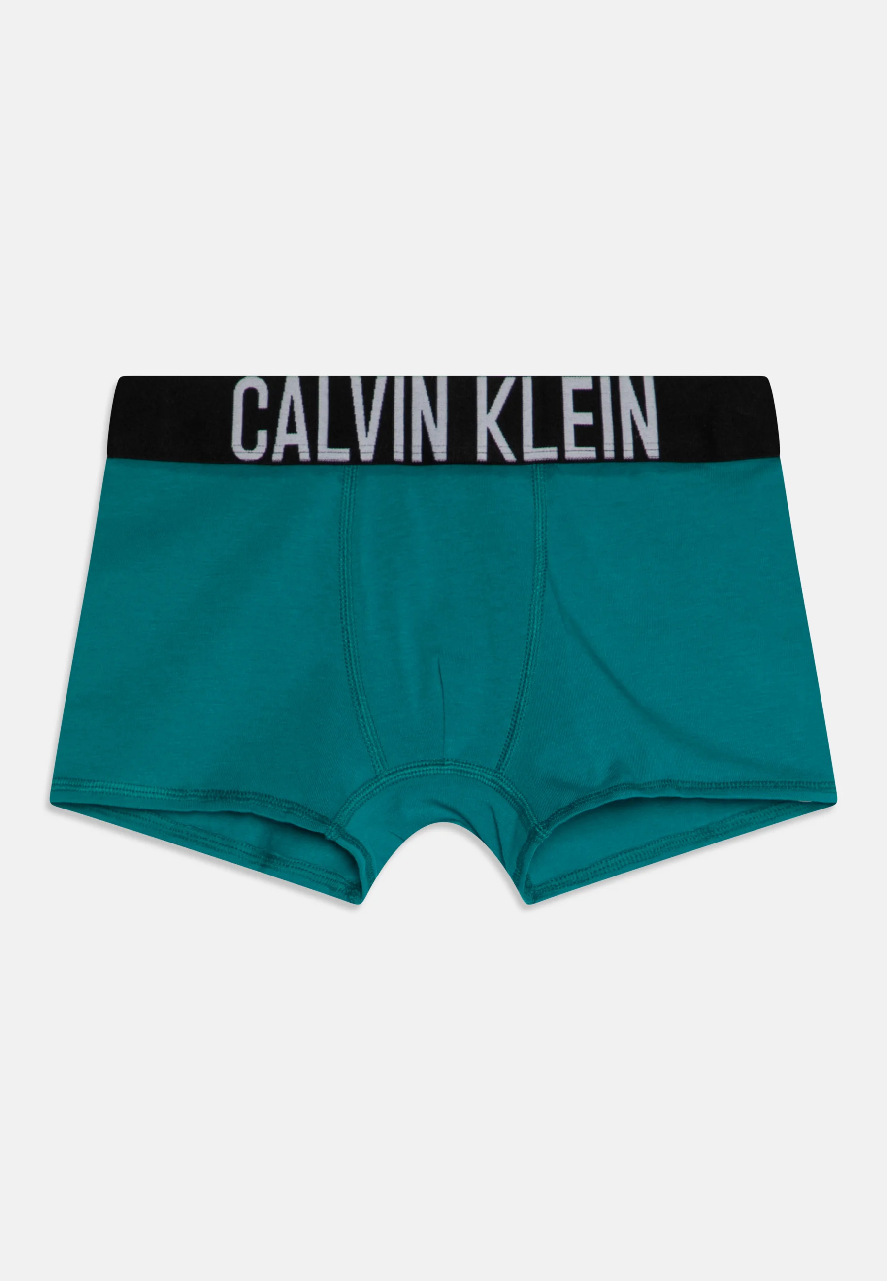 Calvin Klein Underwear TRUNK PACK DE 2 - Culotte