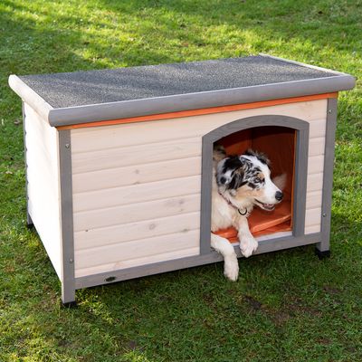 Spar-Komplettset: Trixie Natura Flachdach-Hundehütte Classic mit Isolierung