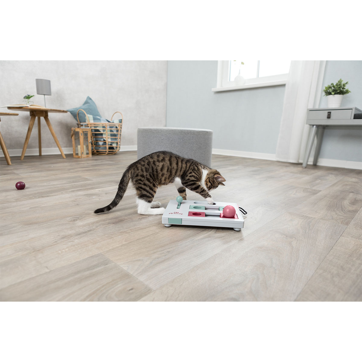Trixie Cat Activity Brain Mover Intelligenzspielzeug