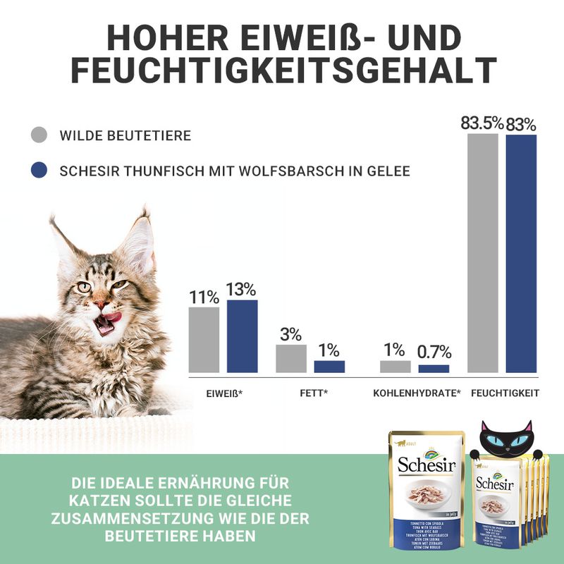 Sparpaket Schesir Jelly Pouch 24 x 85 g zu TOP-Preisen | bitiba %