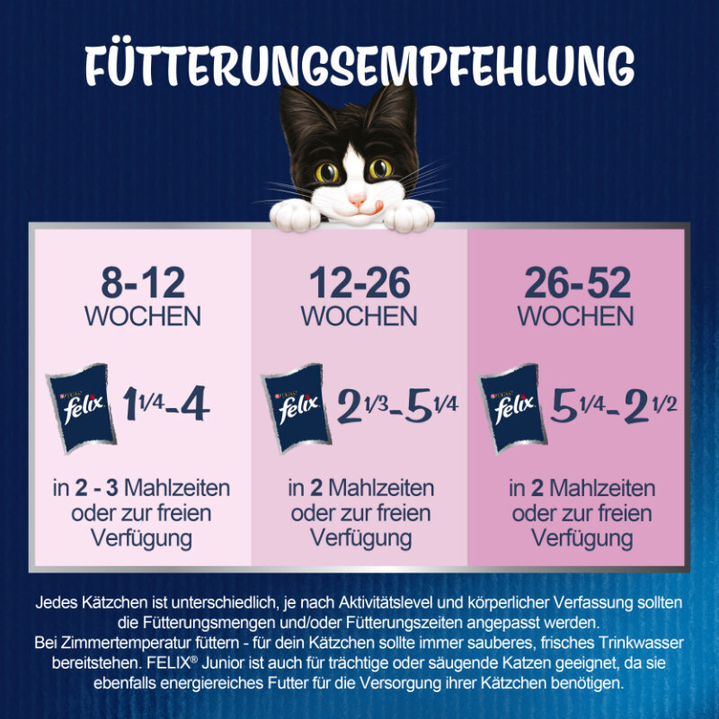 Felix Nassfutter Felix So gut wie es aussieht Junior 12x85g