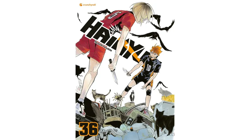 Haikyu!! – Band 36