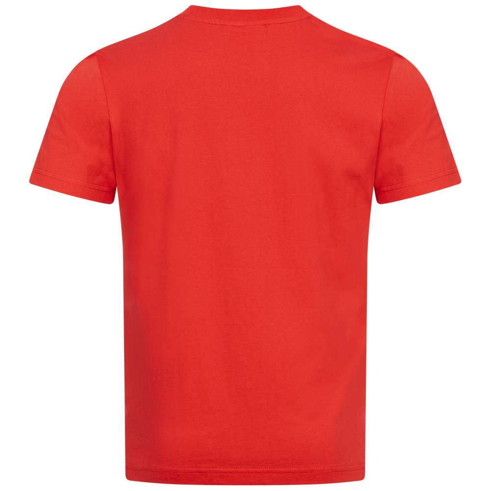 Speedo Team Kit Herren T-Shirt 8-083790470