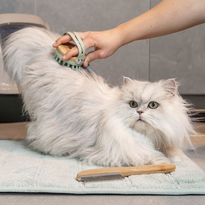 kooa Massagebürste für Katzen