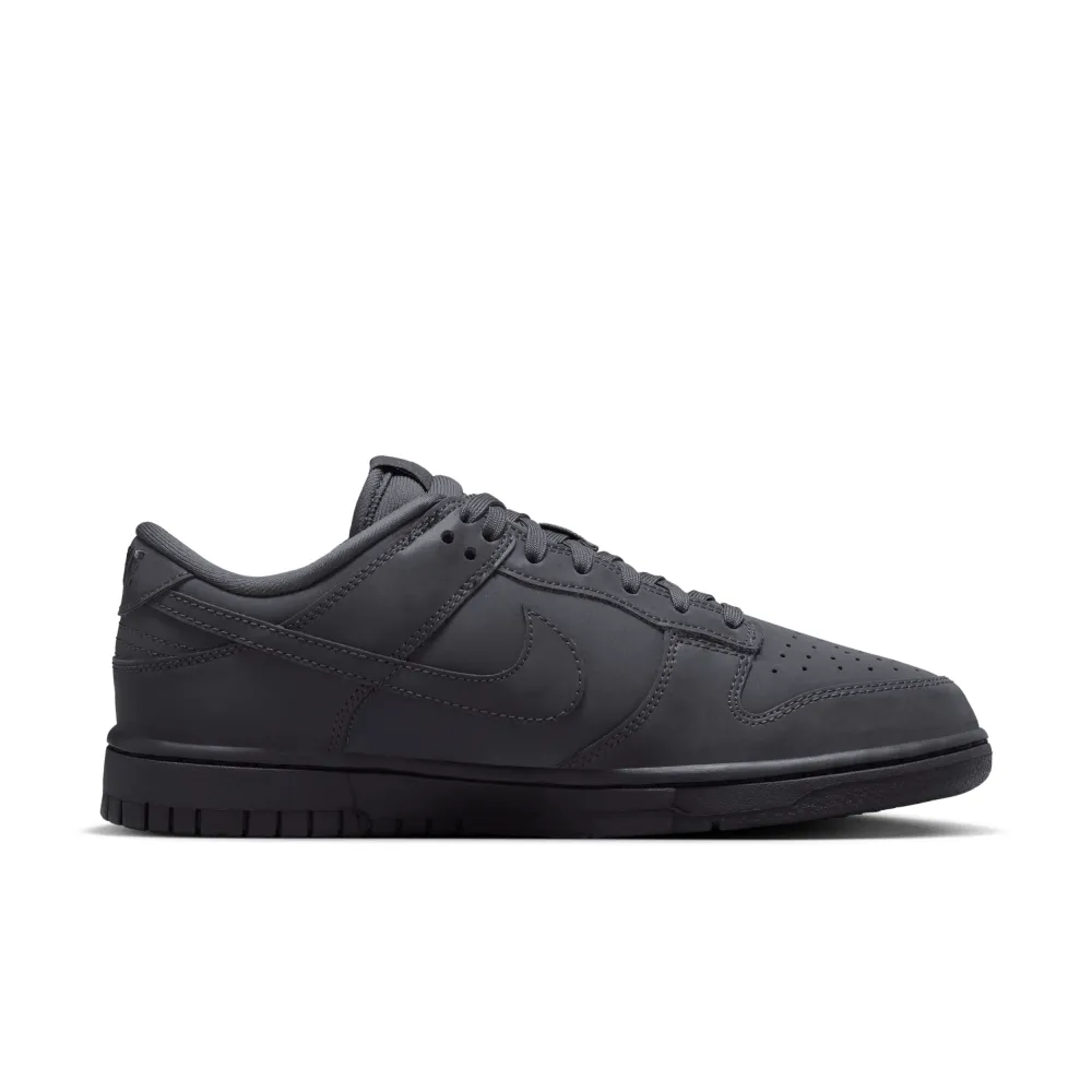 Nike WMNS Dunk Low FZ3781-060 / grau
