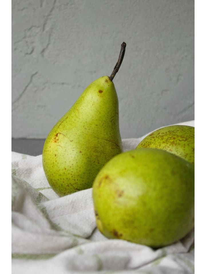 OH2 3er-Set Jonagold Apfel-Birne-Kirsch Obstbäume in Bunt günstig kaufen onesize