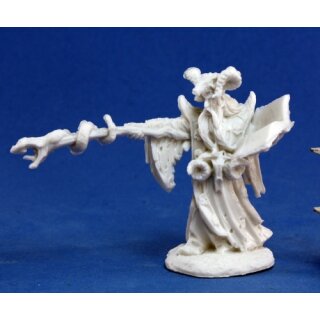 Mercenary Mage Leisynn