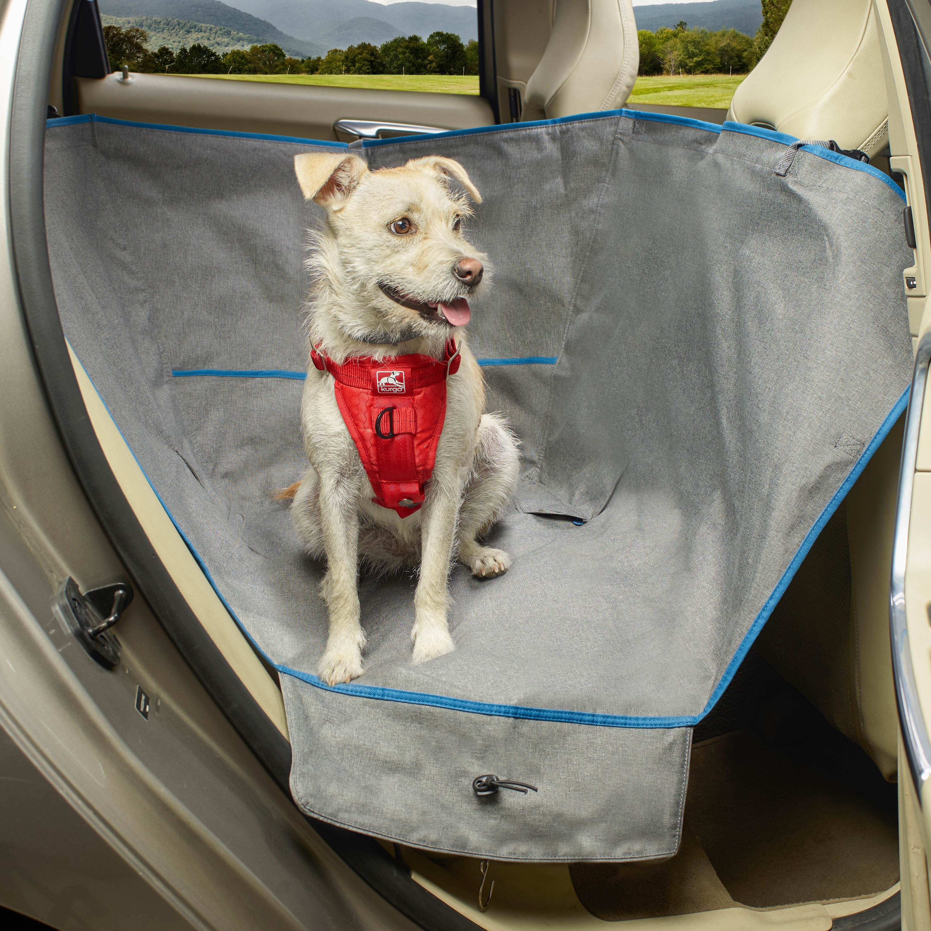 Kurgo Autozubehör Kurgo Halbhängematten-Sitzbezug für Hunde, Grau