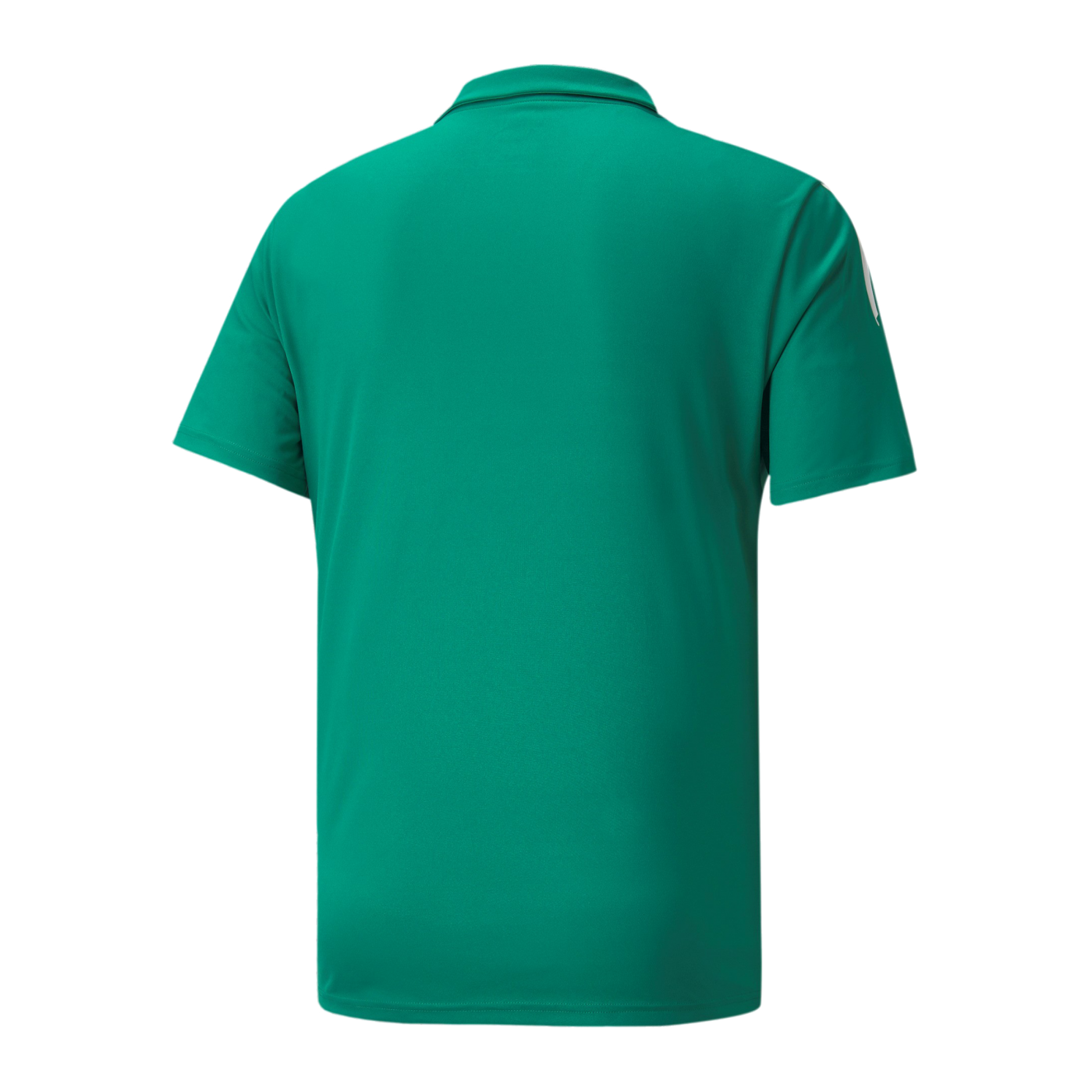 PUMA teamLIGA Sideline Polo Grün Weiss F05