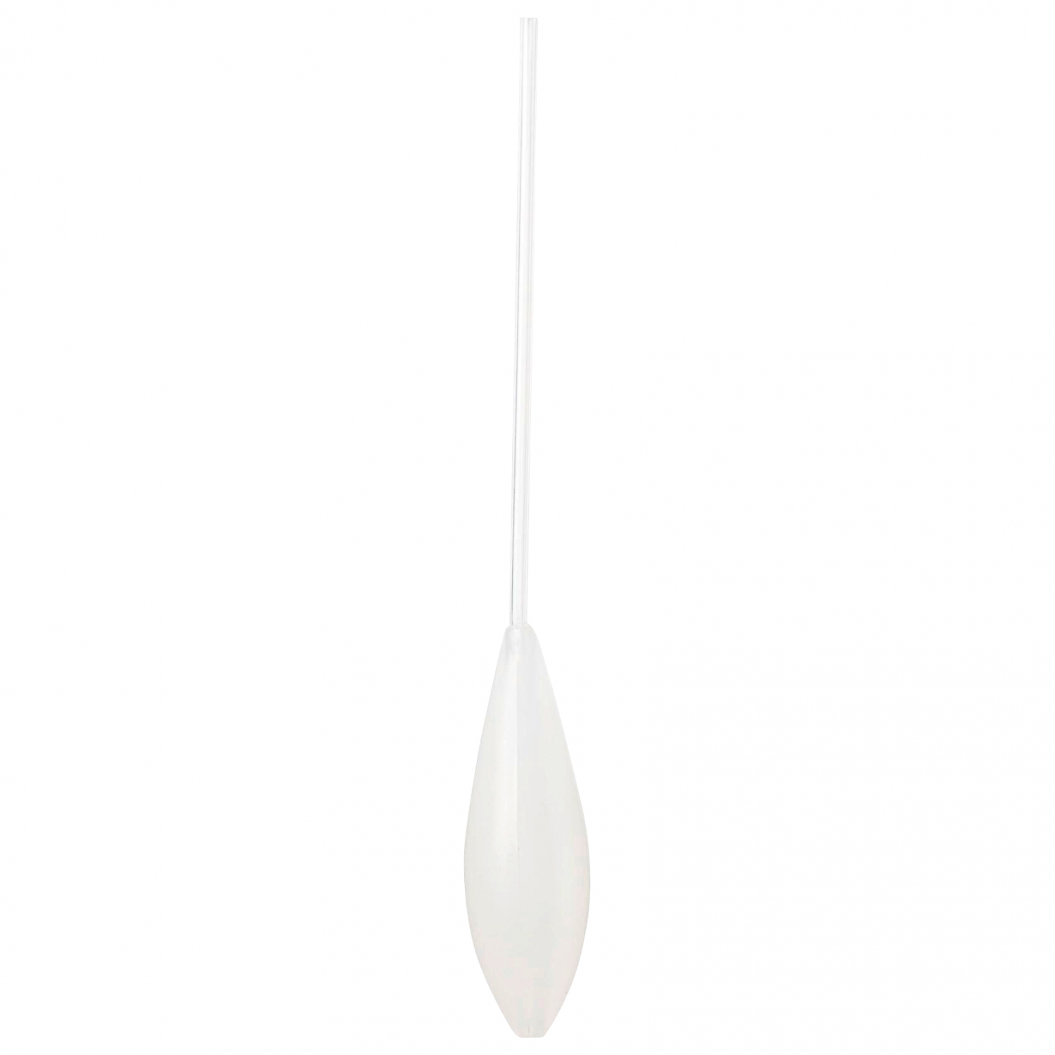 Perca Trout Sbirolino (schwimmend)