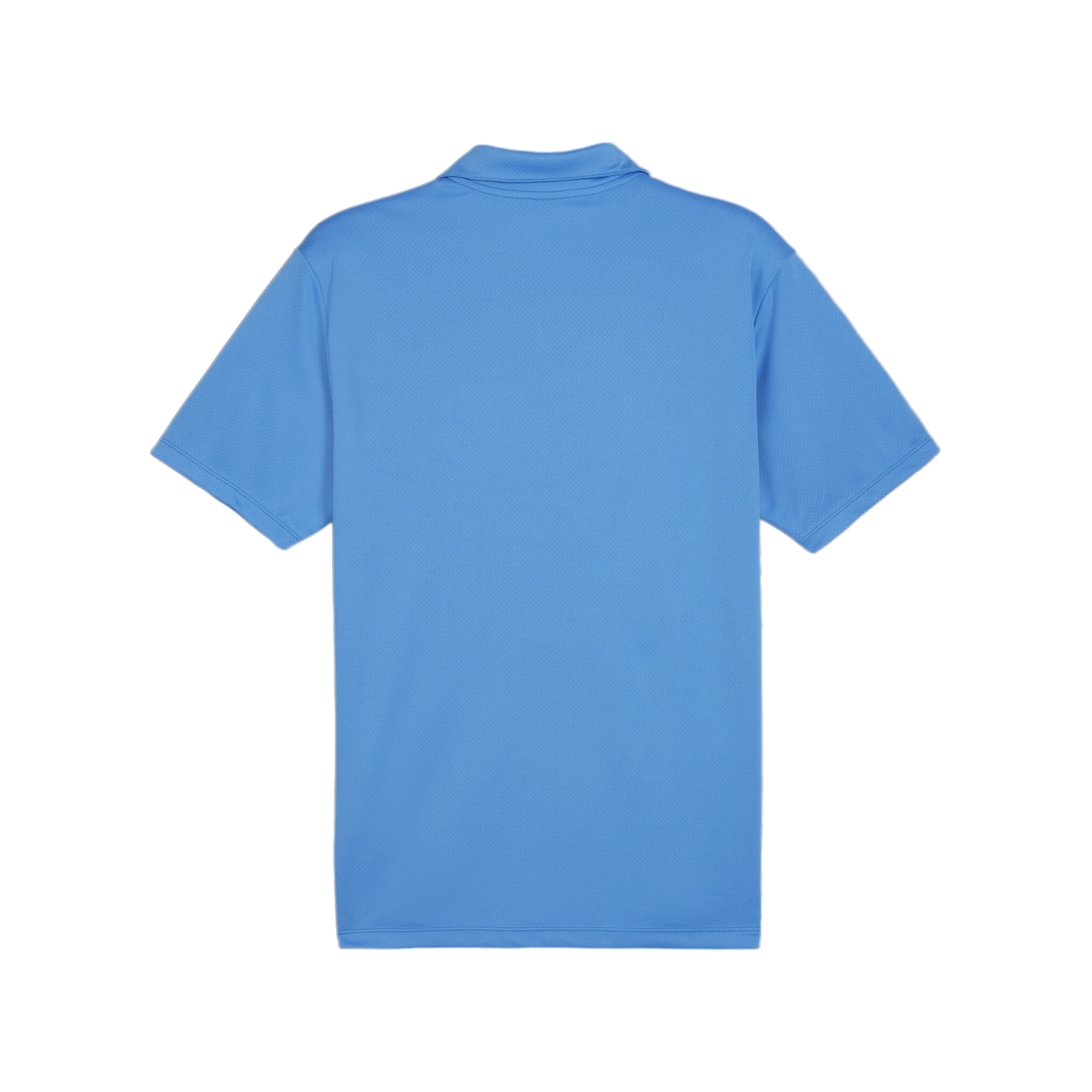 PUMA teamGOAL Poloshirt Blau F02
