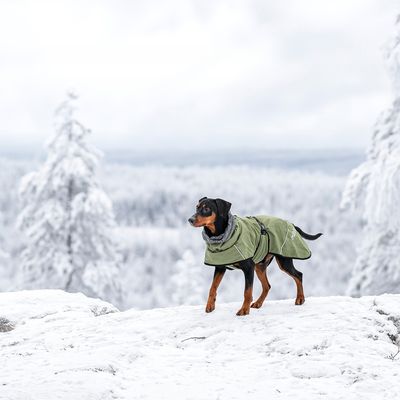Rukka® Warmup Hundemantel, oliv
