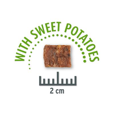 Concept for Life Insect Snack mit Süßkartoffeln