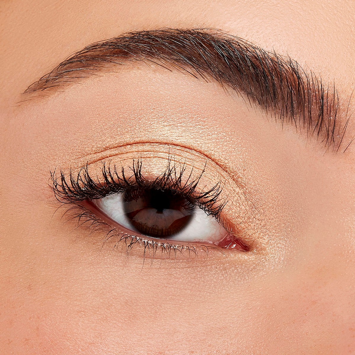 Base para sombras de ojos Sigma - Persuasión