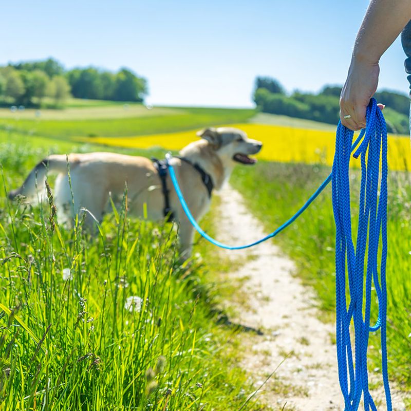 Welpen-Starterpaket für mittelgroße & große Hunde