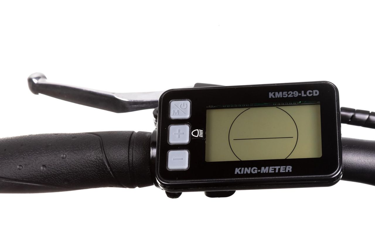 Maxtron Trekking E-Bike MT 12 mit Heckmotor