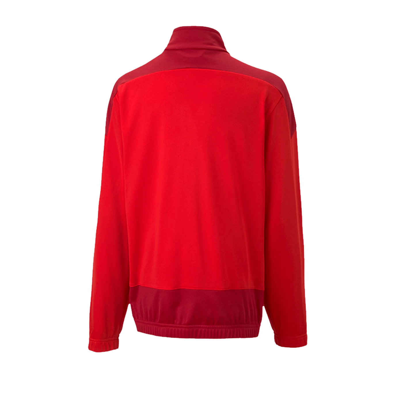 PUMA teamGOAL 23 Training Jacke Kids Rot F01