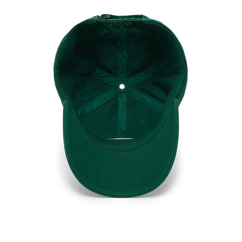 Dickies Hardwick aventurine