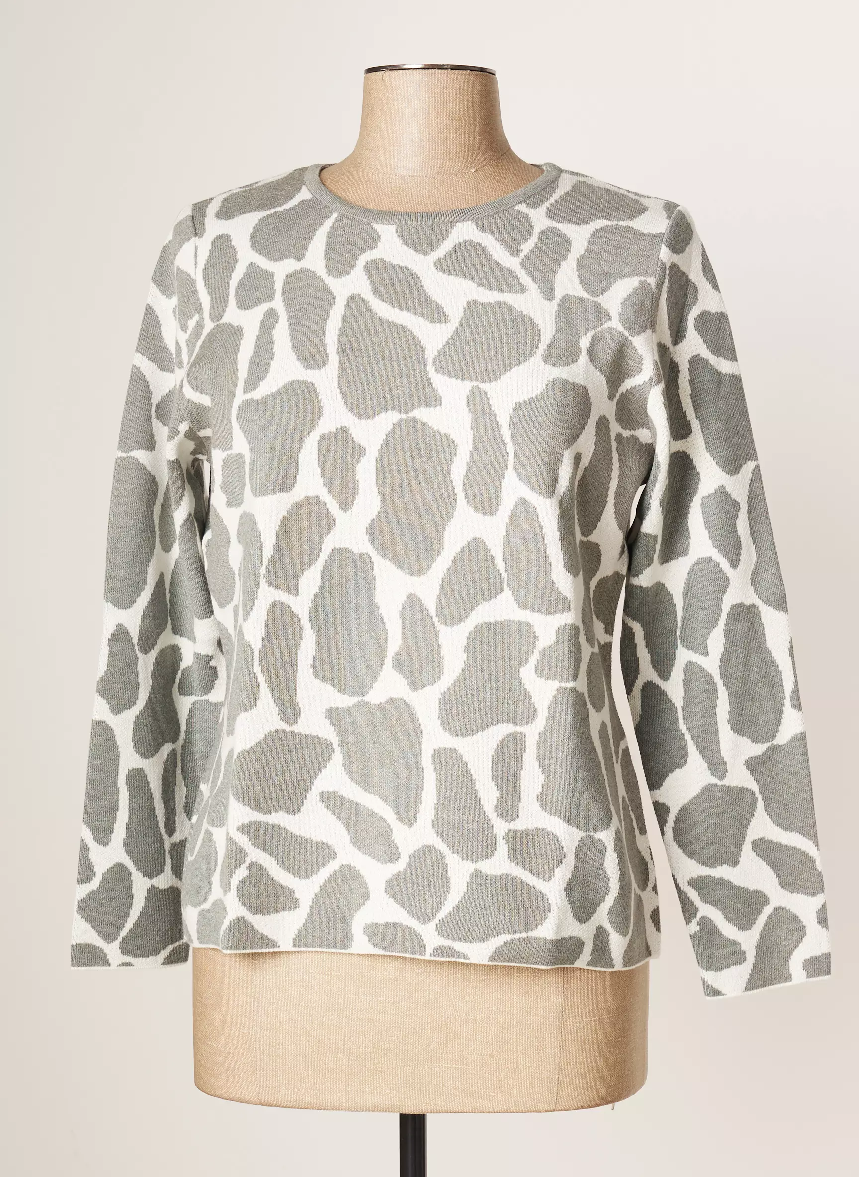 Rabe Pulls Femme couleur gris