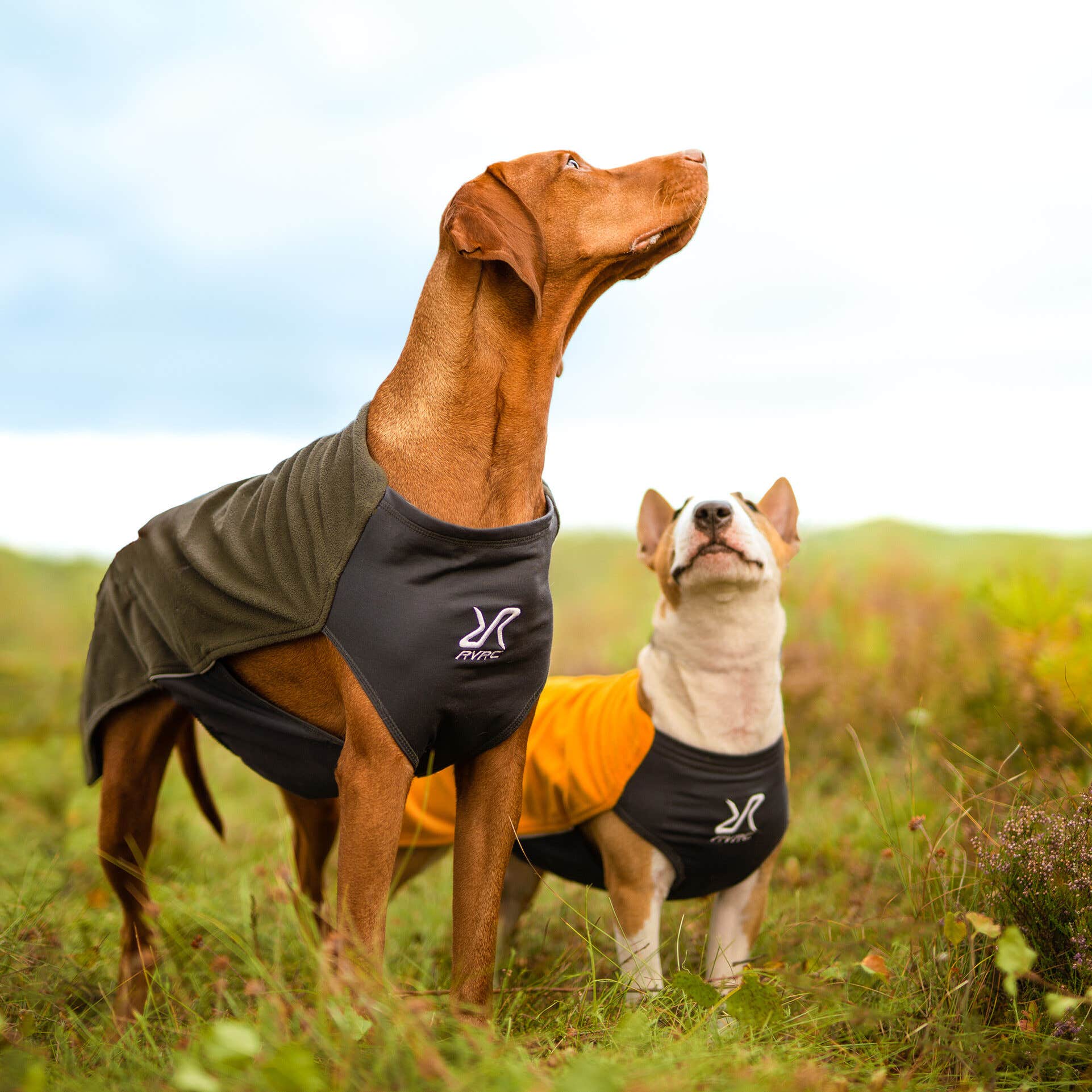 Trekker Fleece Chien Caviar