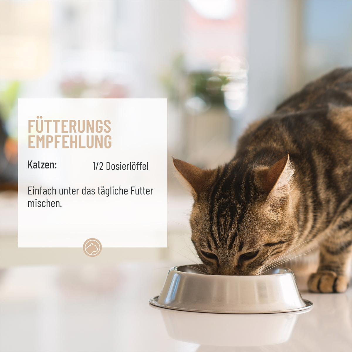 REAVET Ergänzungsfutter & Aufzucht REAVET Magenmild Pulver 50g