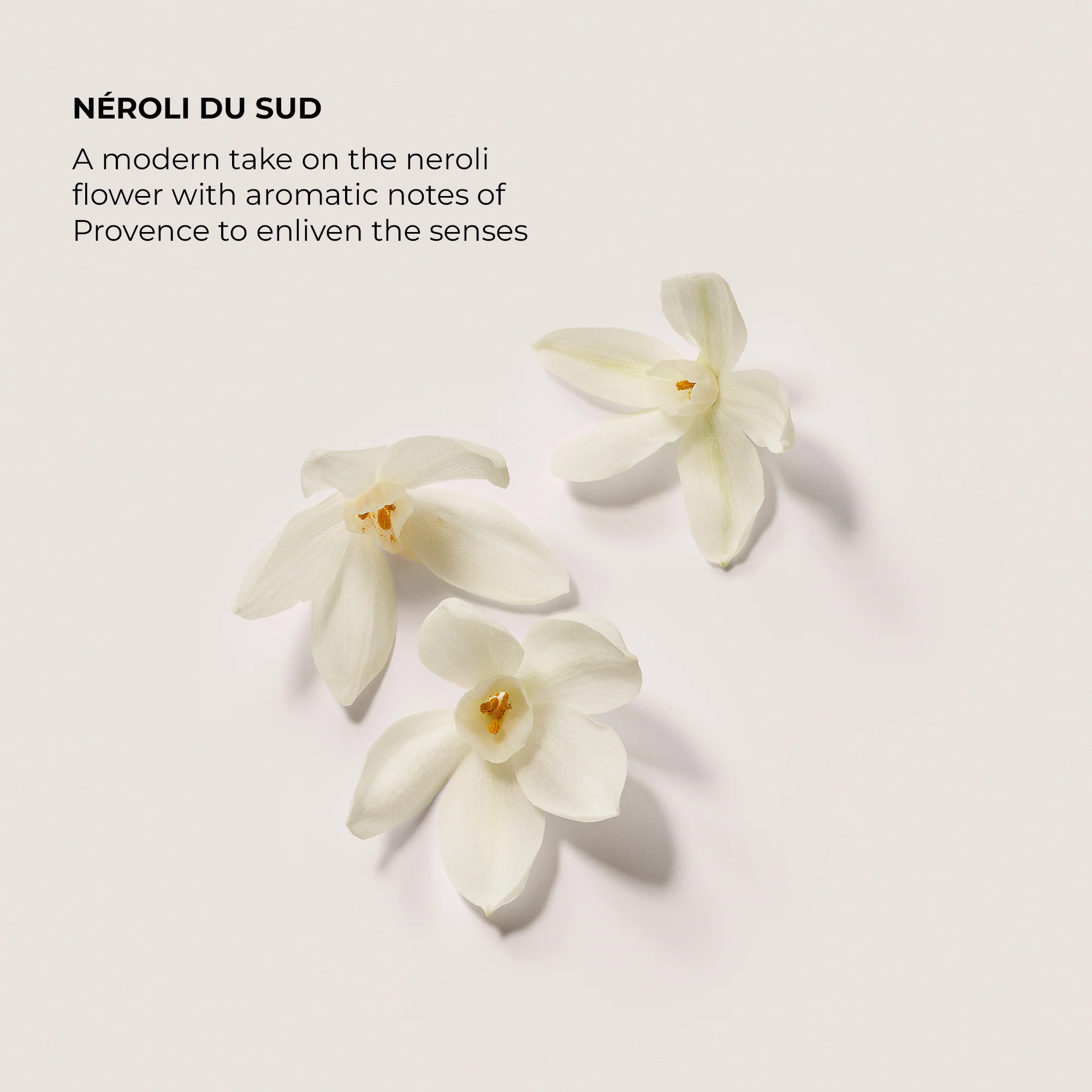 Απολεπιστικό Αφρόλουτρο Σώματος Néroli du Sud Body Cleanser - Απολεπιστικό