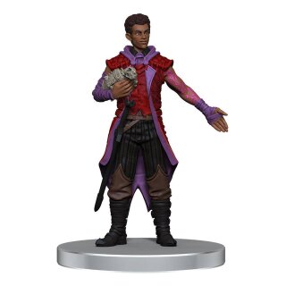 D&D Voices of the Realms Miniaturen: Band of Heroes (pre-painted)