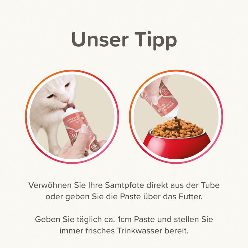 Beaphar Lachsöl Paste für Katzen zu TOP-Preisen