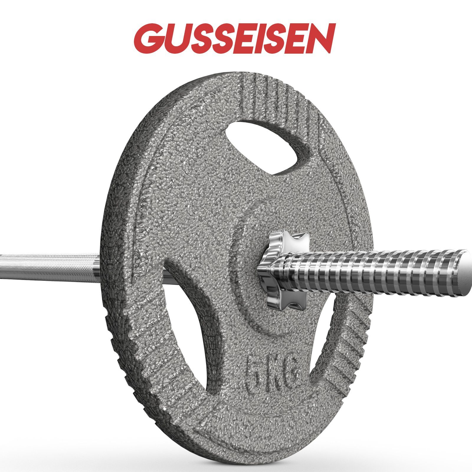 Physionics Hantelscheiben Gusseisen Hantelscheiben Ø30mm Bohrung für Langhantel und Kurzhantel