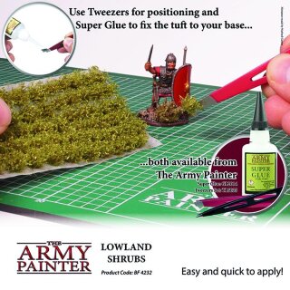 Tieflandsträucher / Lowland Shrubs