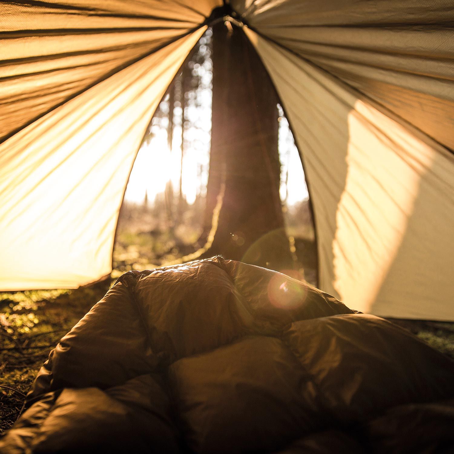 Adventure Wing Tarp