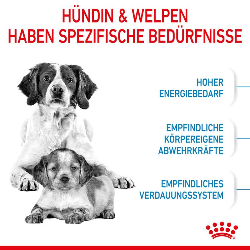 Royal Canin Medium Starter Mother & Babydog