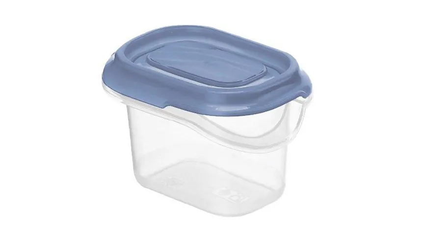 rotho Rondo Frischhaltedose eckig horizon blue 2x0,07l horizon blue