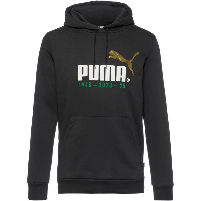 PUMA No. 1 Logo Celebration Hoodie Herren