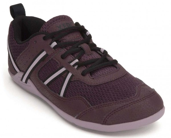 Xero |f ~ Prio ~ Fig/Elderberry