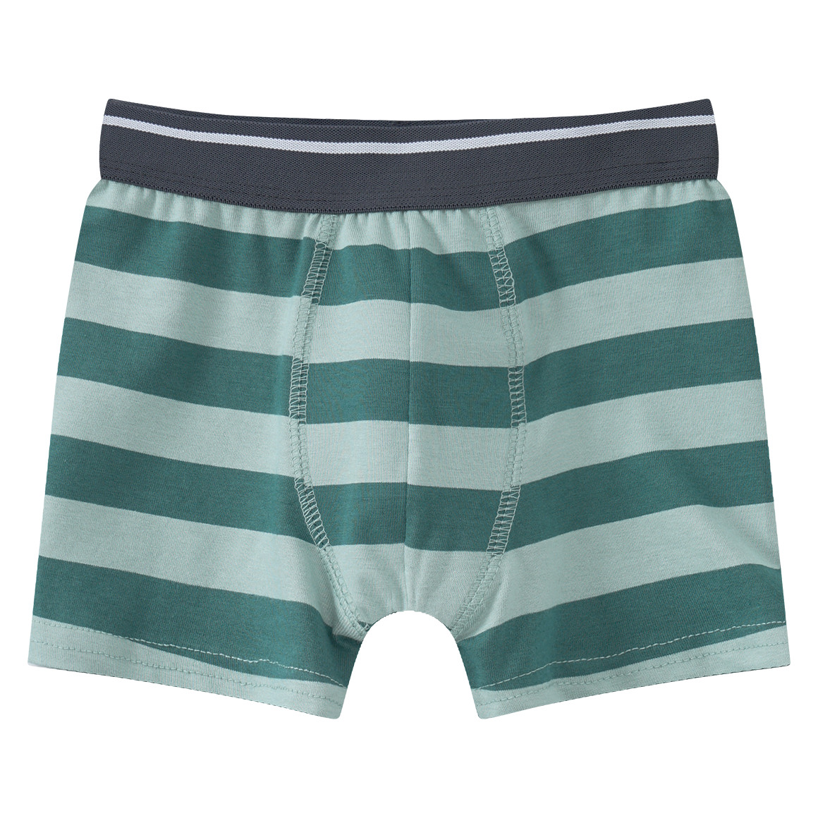 5 Jungen Boxer in verschiedenen Dessins