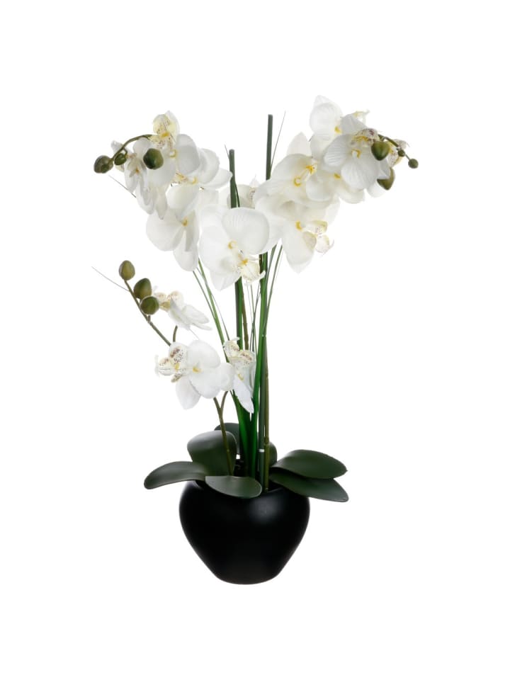 Atmosphera Créateur d'intérieur Kunstblume Orchidee in schwarz günstig kaufen onesize