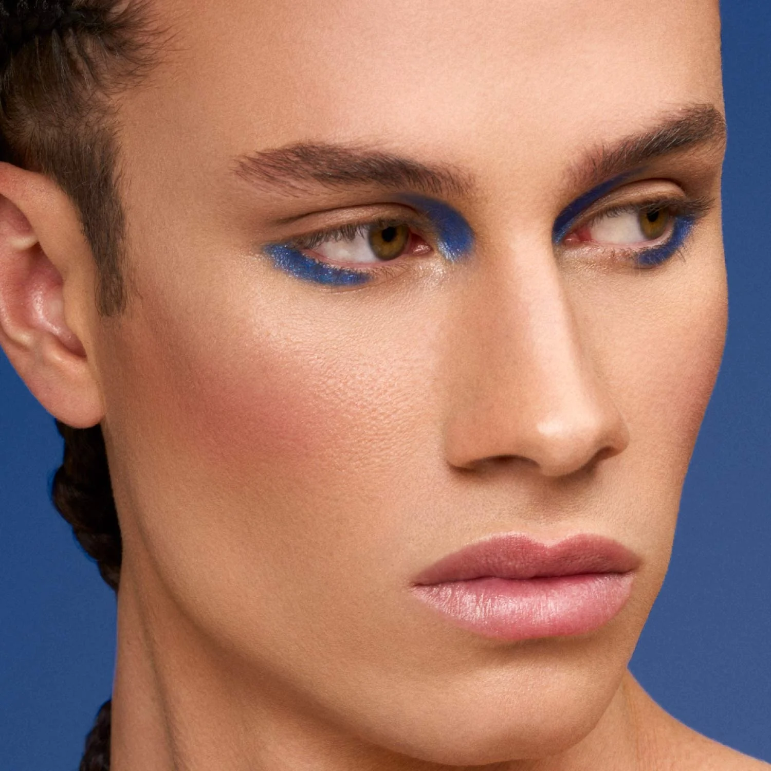 PRIVATE DREAM sejas palete - Sejas palete, kompaktais vaigu sārtums, bronzeris, sejas konturēšana