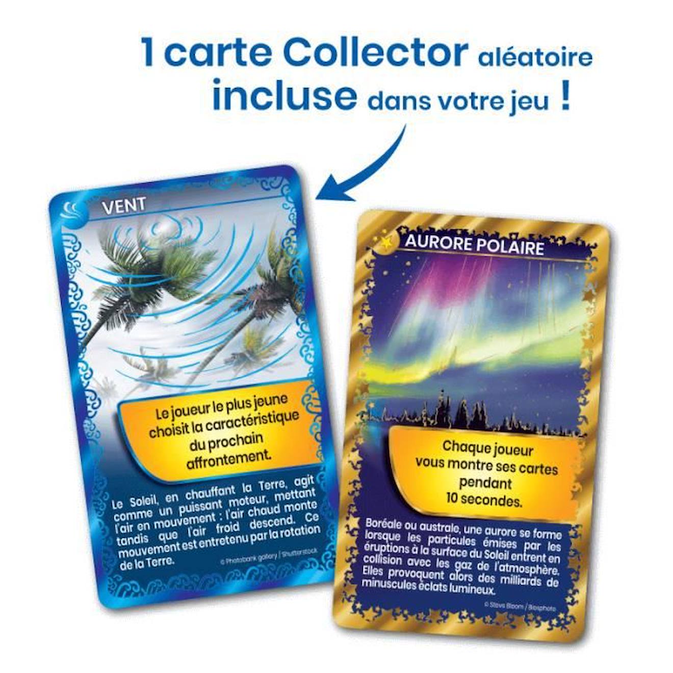 Bioviva