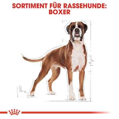 Royal Canin Boxer Adult