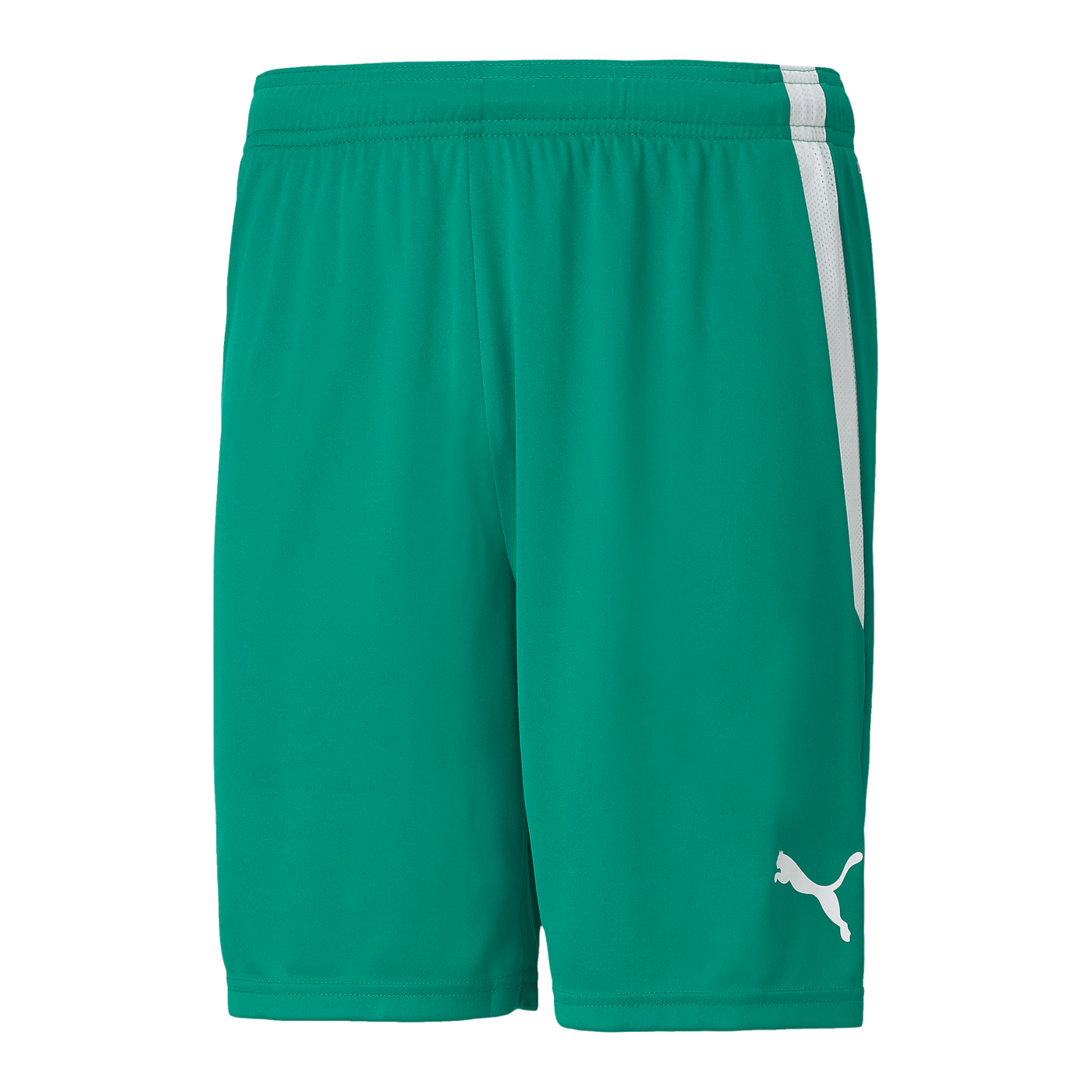 PUMA teamLIGA Short Grün Weiss F05
