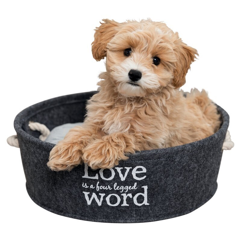 Trixie Hundebetten Trixie Liegeplatz Lian XS