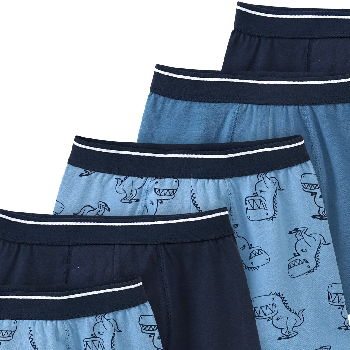 5 Jungen Boxer in verschiedenen Dessins