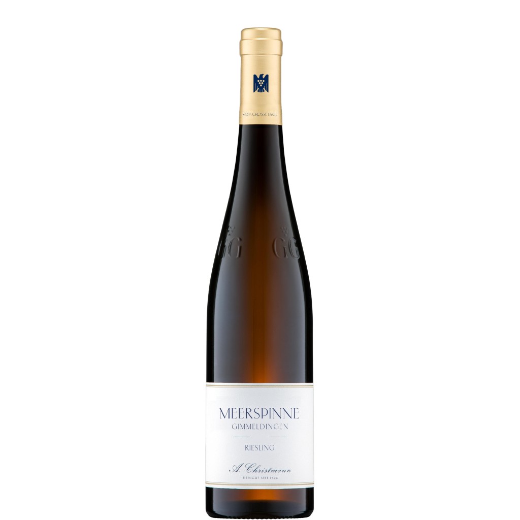 2021 Riesling Meerspinne GG trocken - BIO