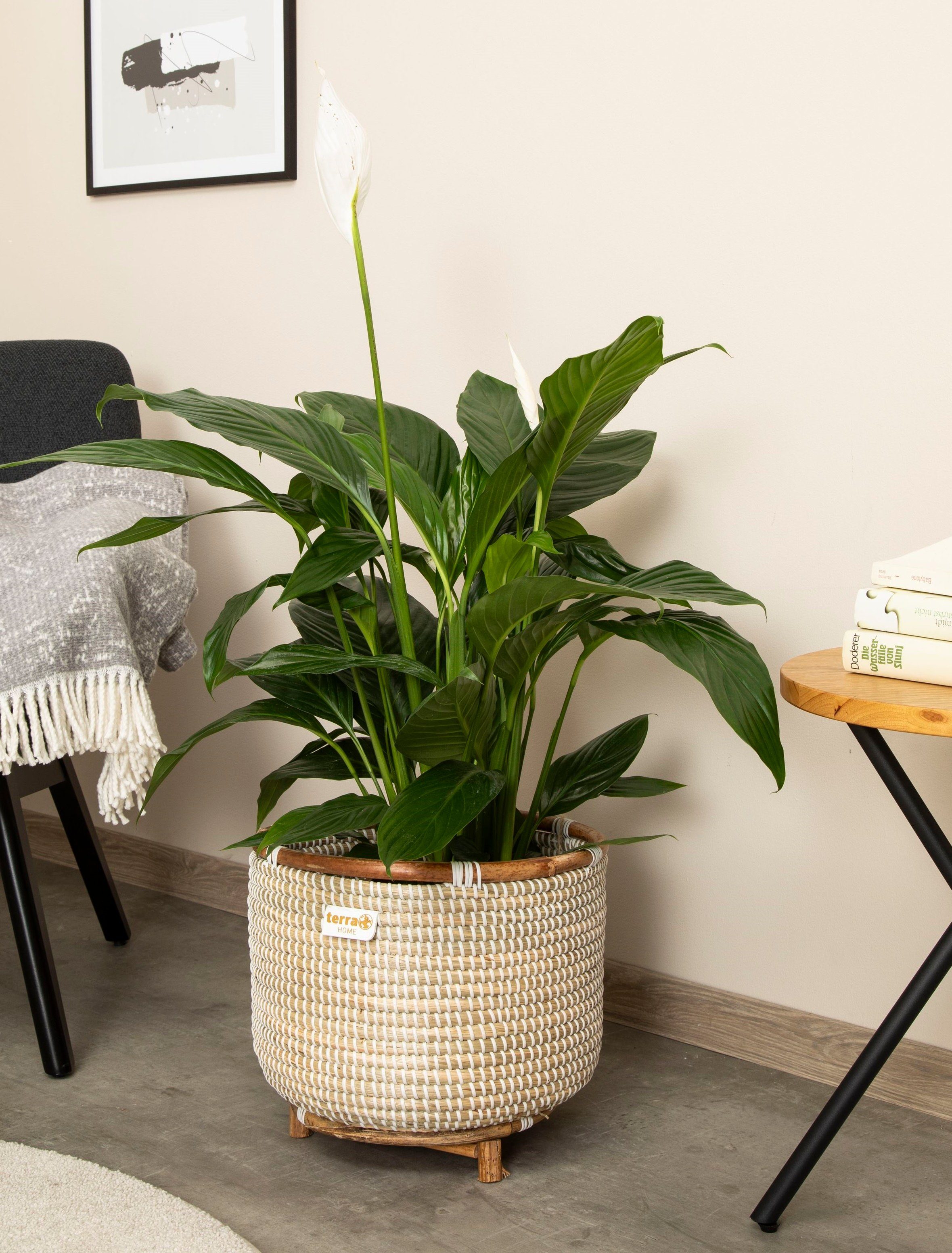 Terra Home Übertopf Pflanzenübertopf Seegras Rattan Ø33 H30 blau/türkis (mit Rattan Füßen, 1 St), Blumentopf Übertopf Füllkorb auf Holzbeinen blau/türkis